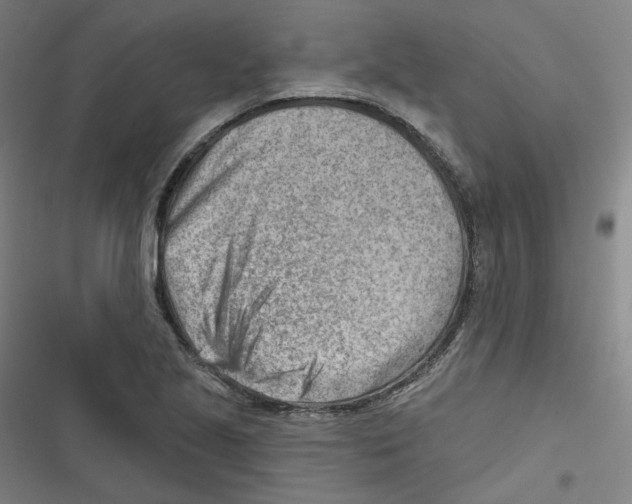 X0000116671221201001111304