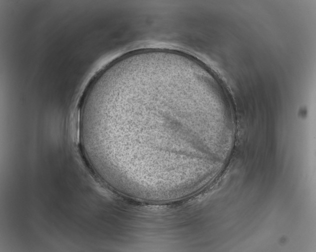 X0000116671223201001111304