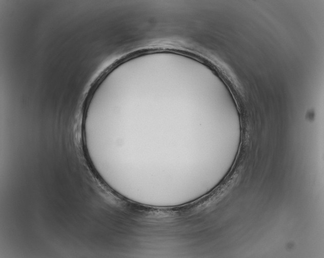 X0000116671224201001111304