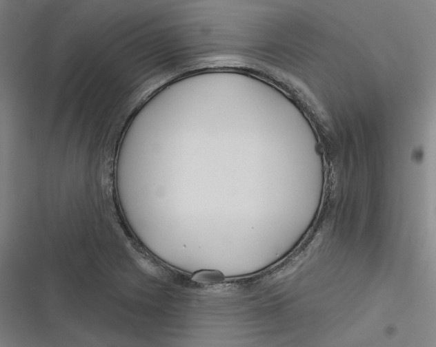 X0000116671225201001111304