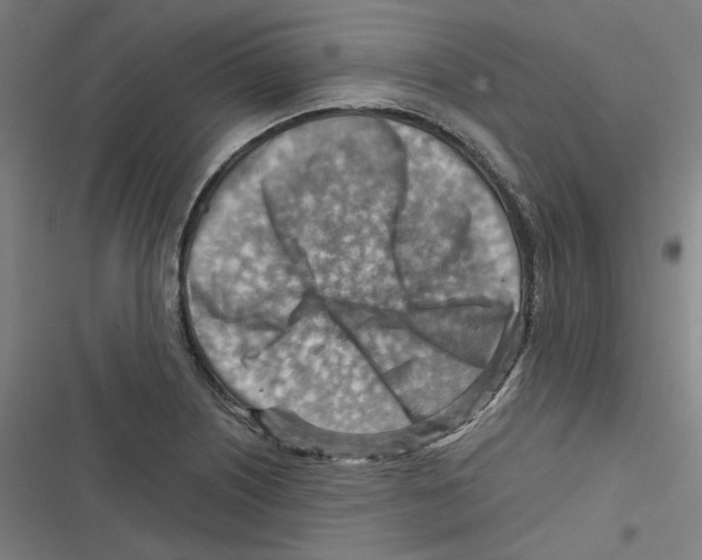 X0000116671226201001111304