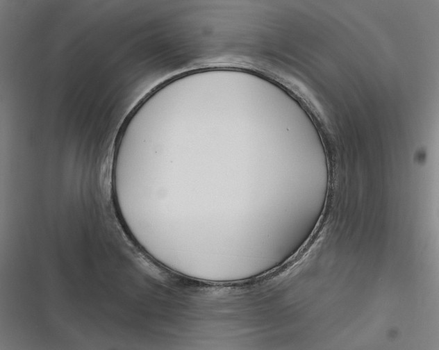 X0000116671228201001111304