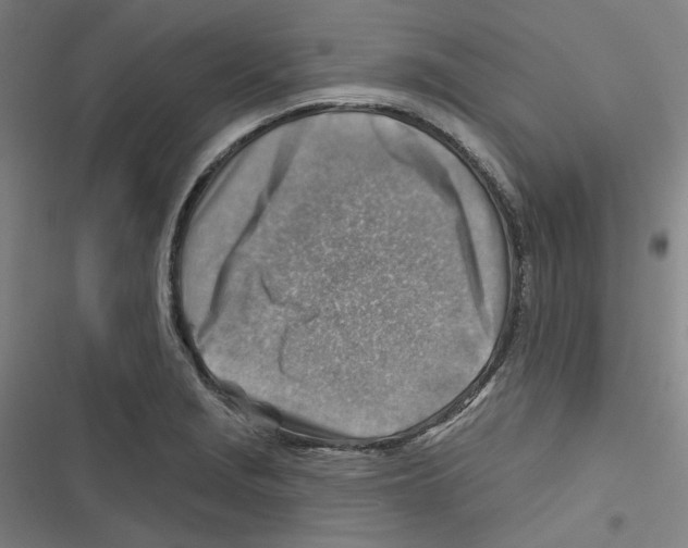 X0000116671229201001111304