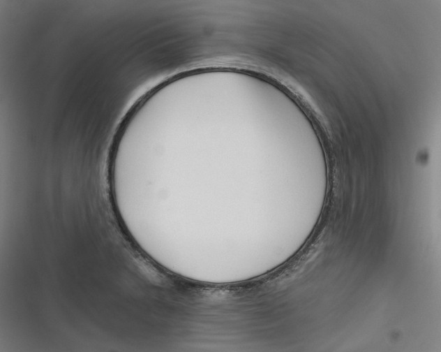 X0000116671230201001111304