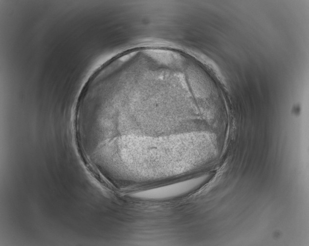 X0000116671231201001111304