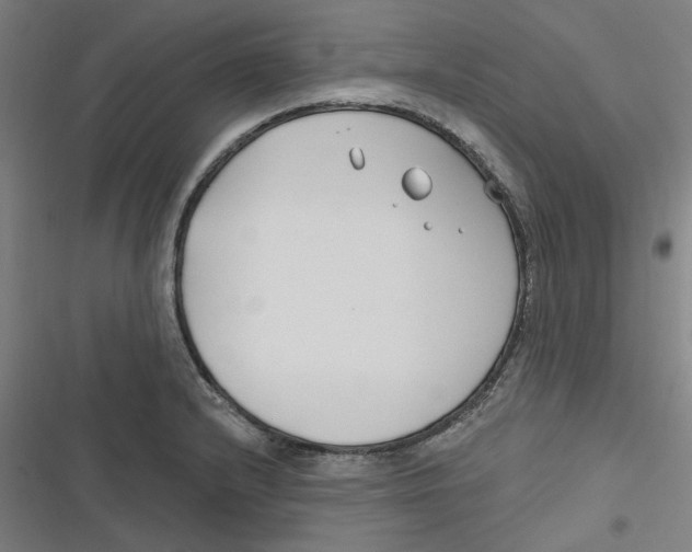 X0000116671232201001111304