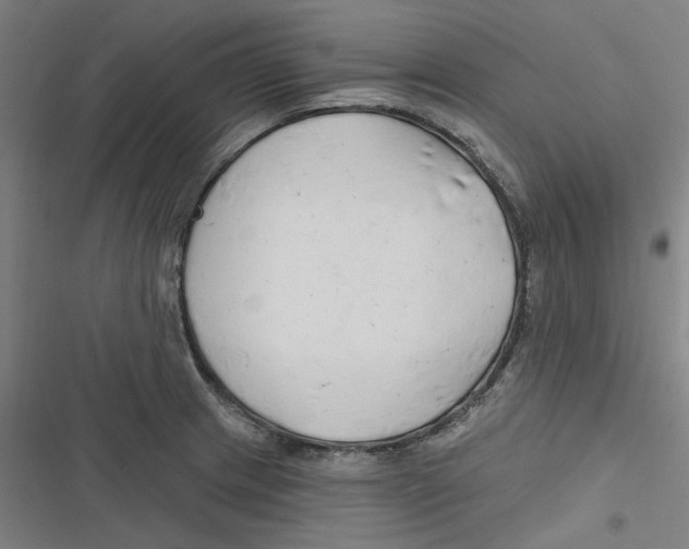 X0000116671233201001111304