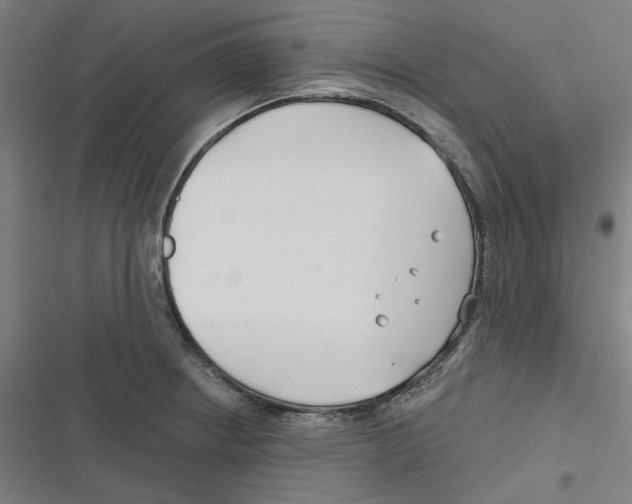 X0000116671234201001111304