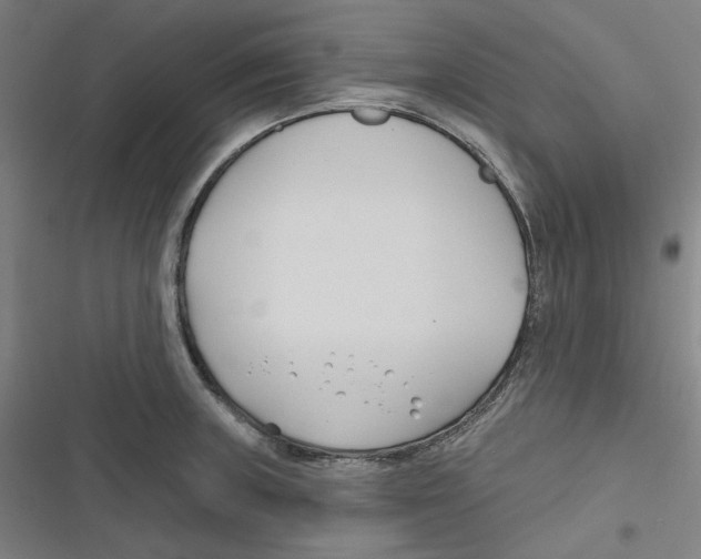 X0000116671235201001111304