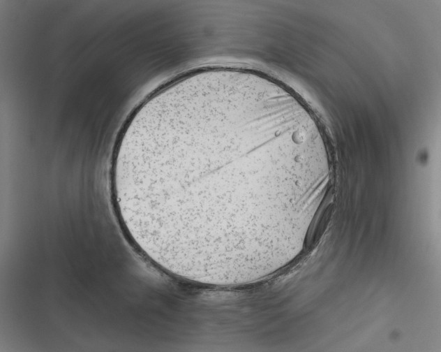 X0000116671237201001111304