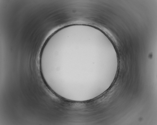 X0000116671238201001111304