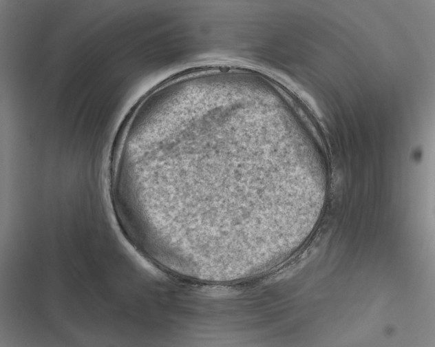 X0000116671239201001111304