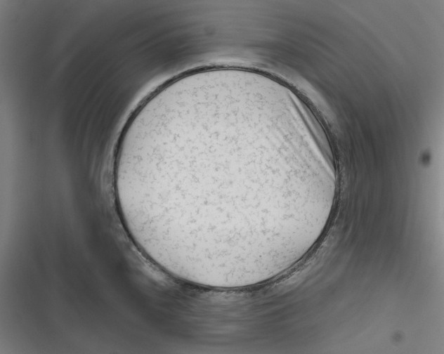 X0000116671240201001111304