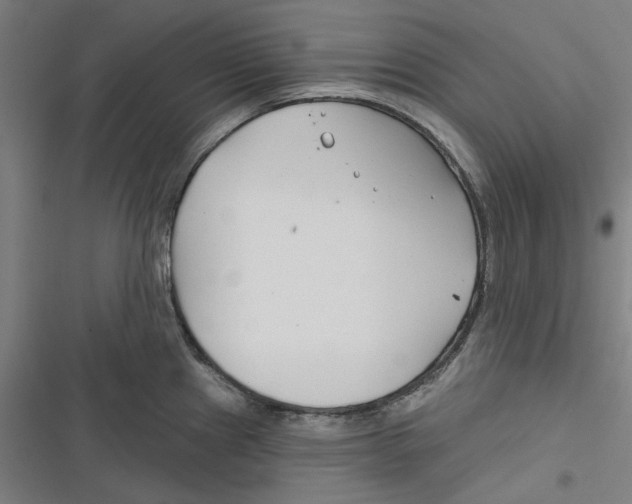 X0000116671241201001111304