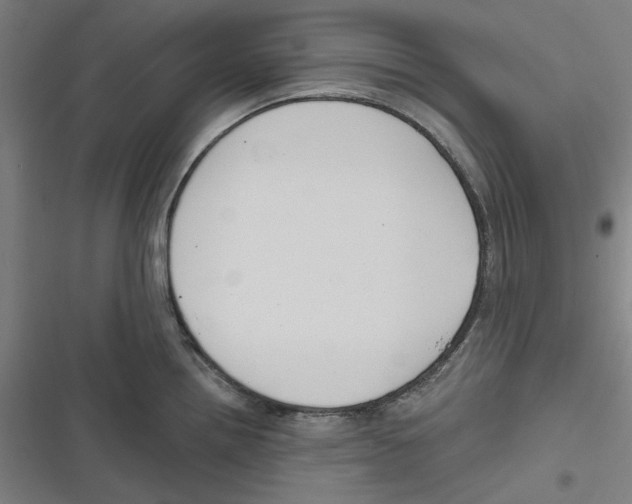 X0000116671242201001111304