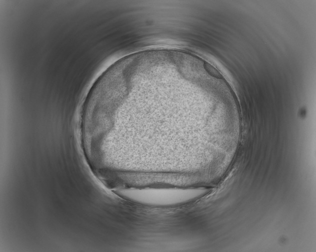 X0000116671243201001111304