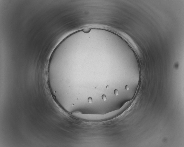 X0000116671244201001111304