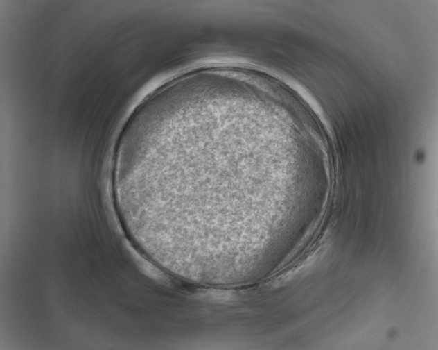 X0000116671245201001111304