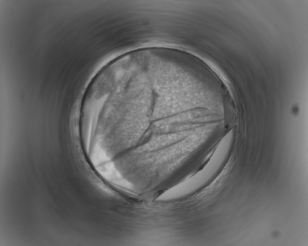 X0000116671246201001111304