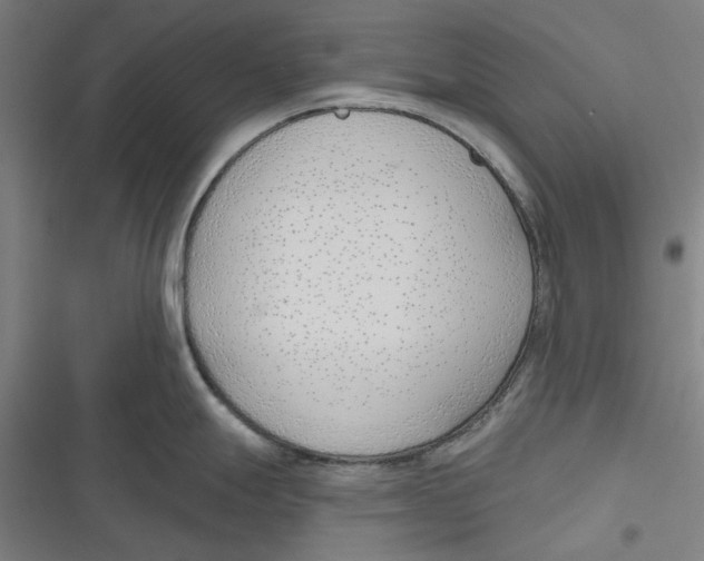 X0000116671247201001111304