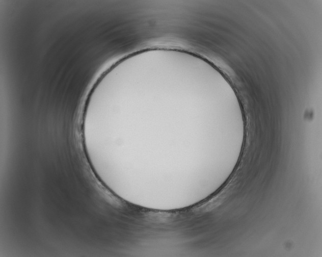 X0000116671248201001111304