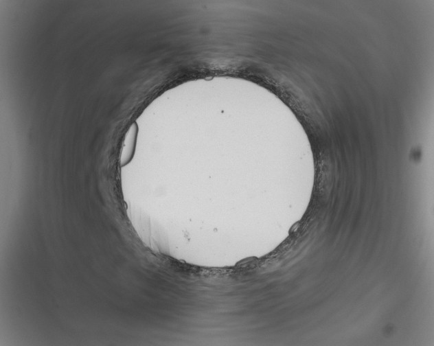 X0000116671249201001111303