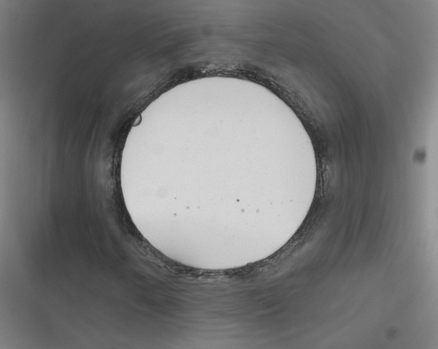 X0000116671250201001111303