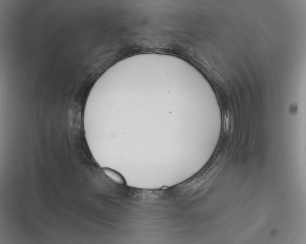 X0000116671251201001111303