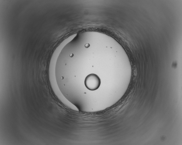 X0000116671252201001111303