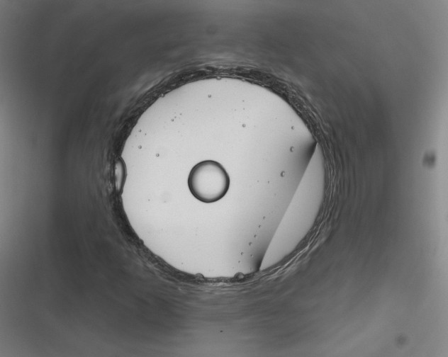 X0000116671253201001111303