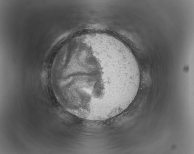 X0000116671254201001111303