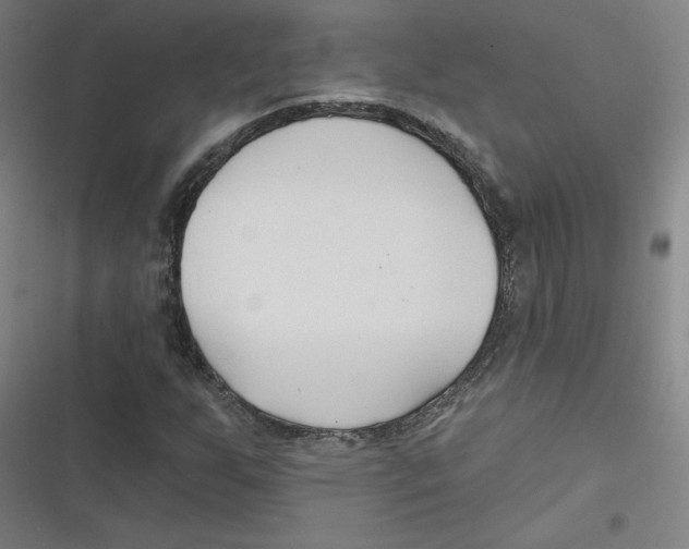 X0000116671255201001111303