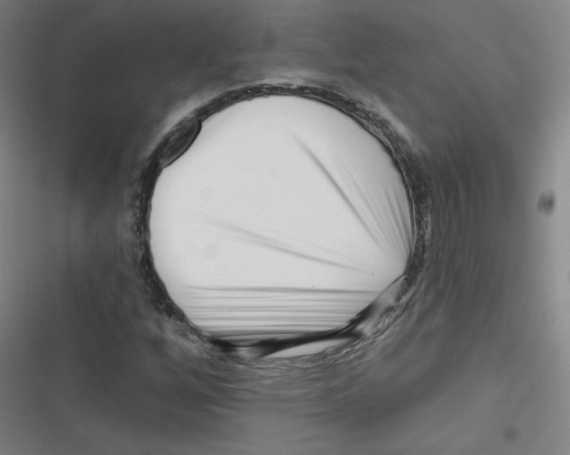 X0000116671256201001111303