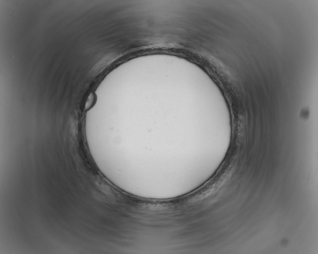 X0000116671257201001111303