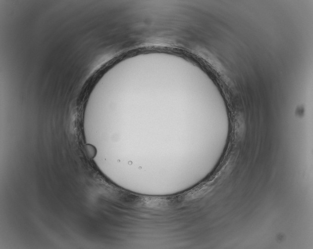 X0000116671258201001111303