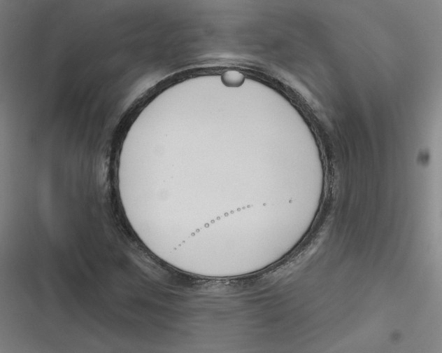 X0000116671259201001111303