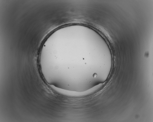 X0000116671260201001111303