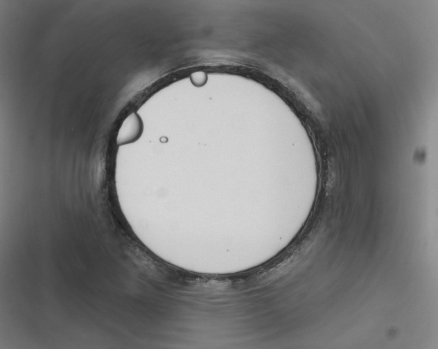 X0000116671261201001111303