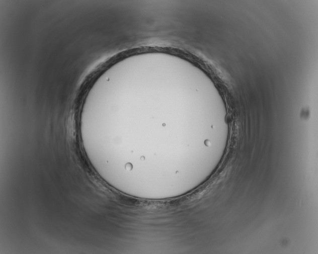 X0000116671262201001111303