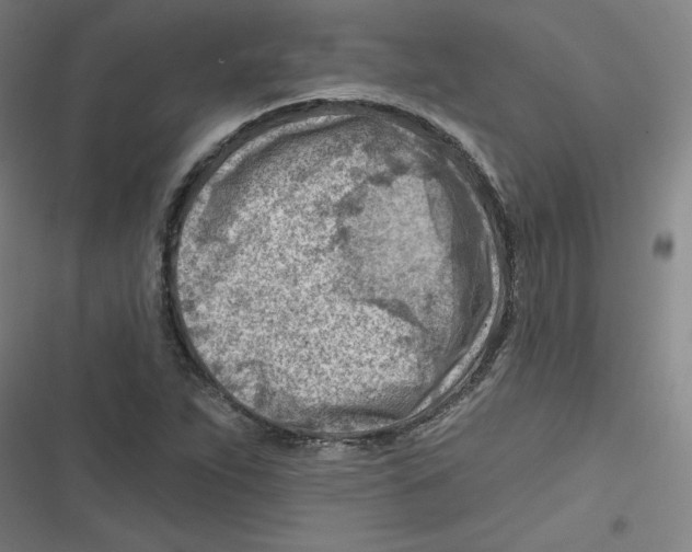 X0000116671263201001111303