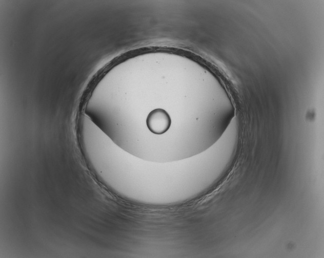 X0000116671264201001111303