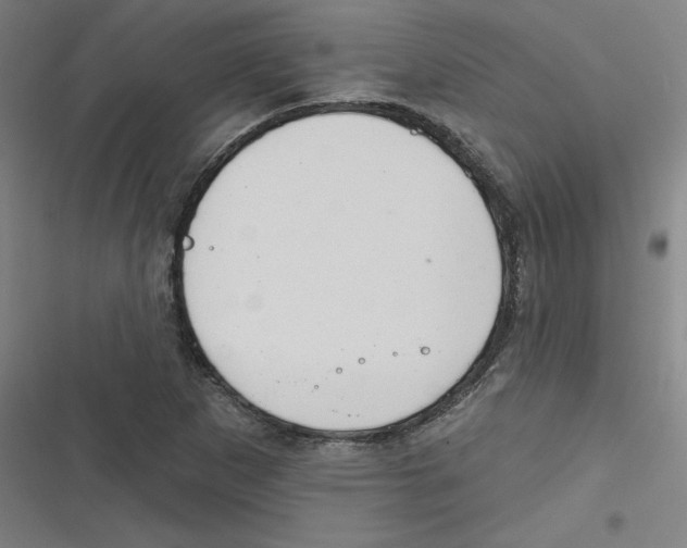 X0000116671265201001111303