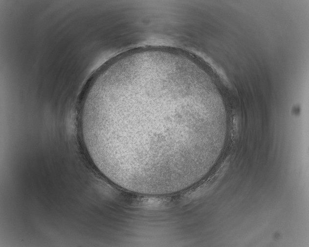 X0000116671266201001111303