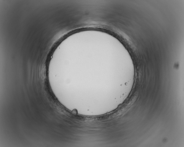 X0000116671267201001111303