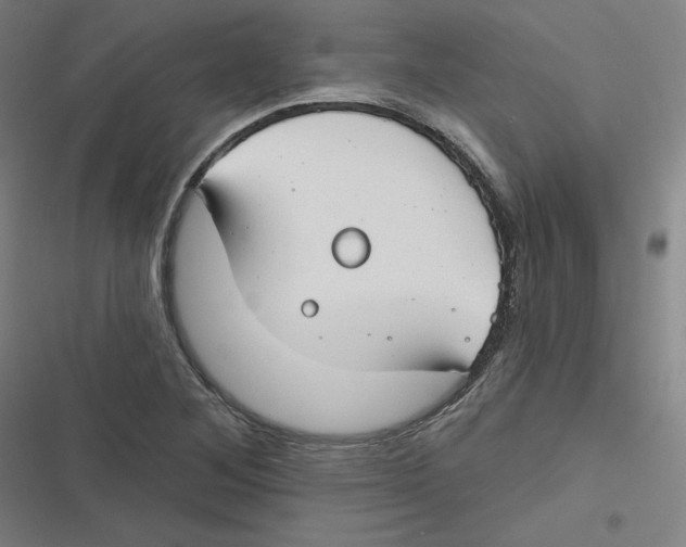 X0000116671268201001111303