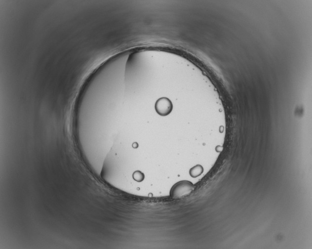 X0000116671269201001111303