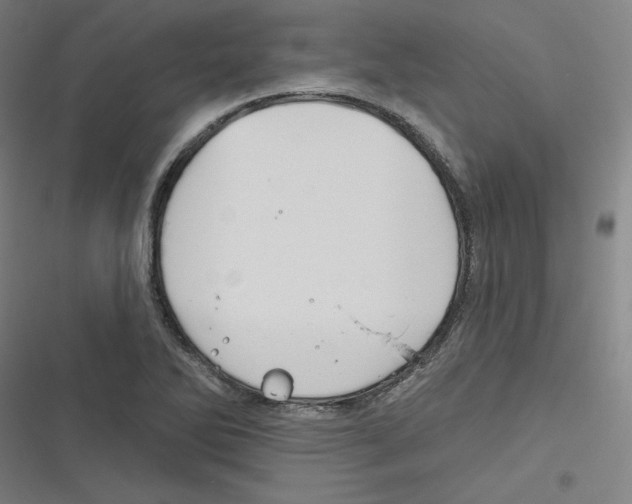 X0000116671270201001111303