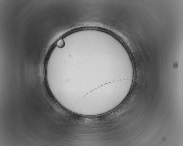 X0000116671271201001111303