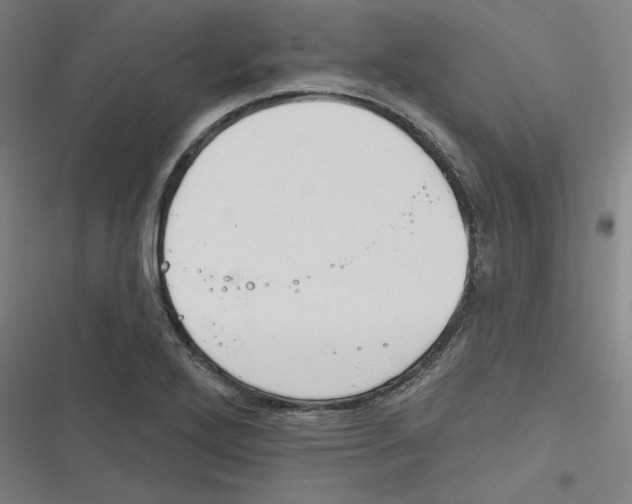 X0000116671272201001111303