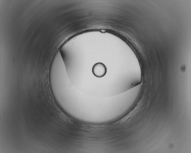 X0000116671273201001111303